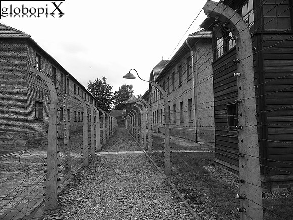 Auschwitz - Filo spinato ad Auschwitz