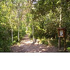 Photo: Le Cesine Nature Reserve