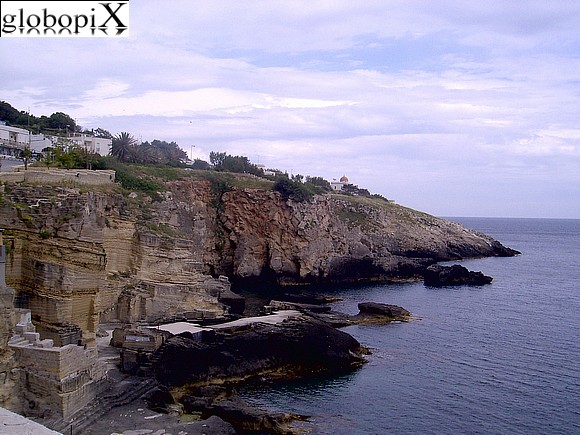 Salento - Sea cliffs at Santa Cesàrea Terme