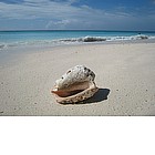 Foto: Spiagga di Saona