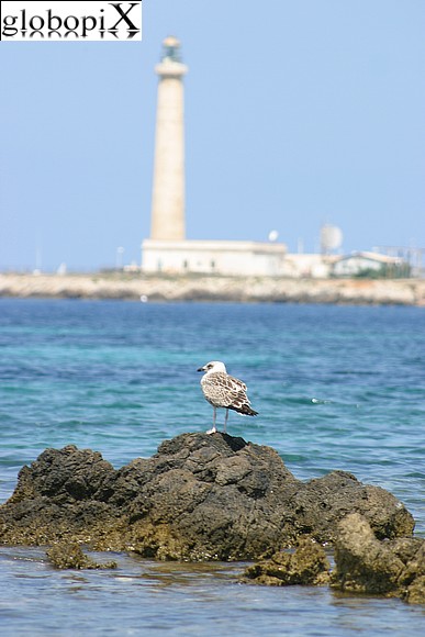 Isole Egadi - Cala Grande and the lighthouse of Punta Sottile