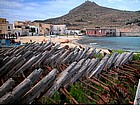 Photo: Porto di Favignana