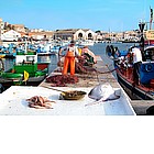 Photo: Fishing in Favignana