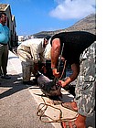 Foto: Pesca a Favignana