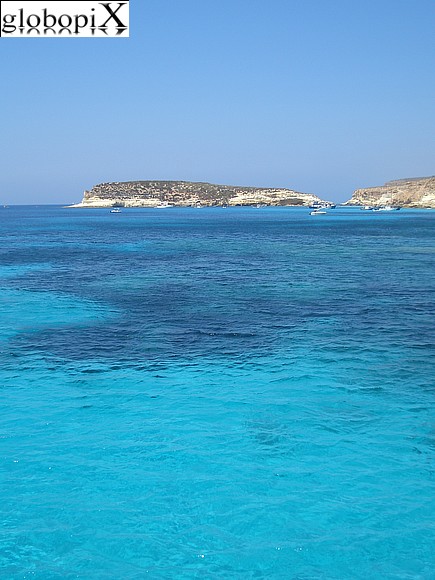 Lampedusa - Lampedusa - Isola dei Conigli