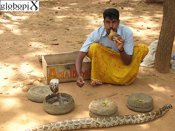 Sri Lanka - Incantatore di serpenti