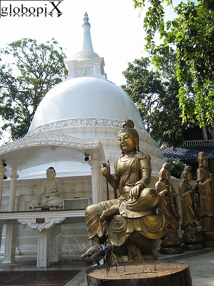 Sri Lanka - Tempio buddista a Colombo