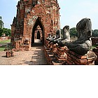 Foto: Ayutthaya - lantica capitale