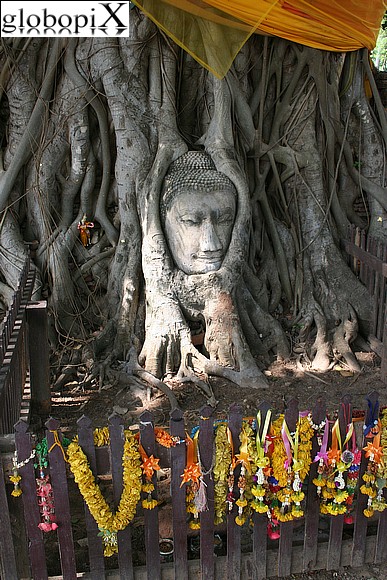 Bangkok - Buddha of wood