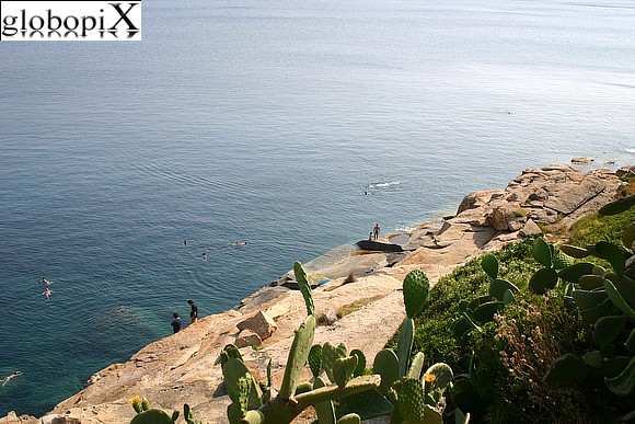 Isola d'Elba - Coast between Fetovaia and Cavoli