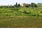 Photo: Views of the Chianti.