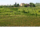 Foto: Paesaggi del Chianti