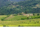 Foto: Paesaggi del Chianti