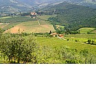 Foto: Paesaggi del Chianti