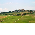 Foto: Paesaggi del Chianti