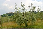 Foto: Paesaggi del Chianti