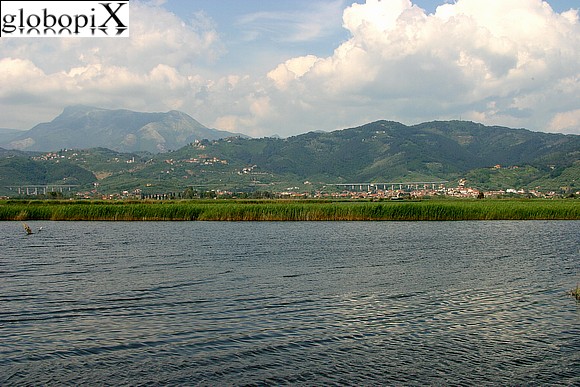 Versilia - Lago di Massacciucoli