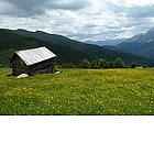 Photo: Campi in fiore in Alta Pusteria