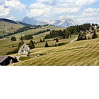 Photo: Alpe di Siusi Sella group