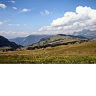 Photo: Field of Alpe di Siusi