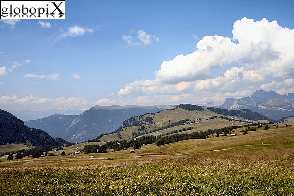 Dolomiti - Field of Alpe di Siusi