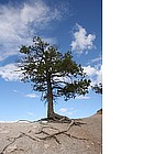 Foto: Bryce Canyon