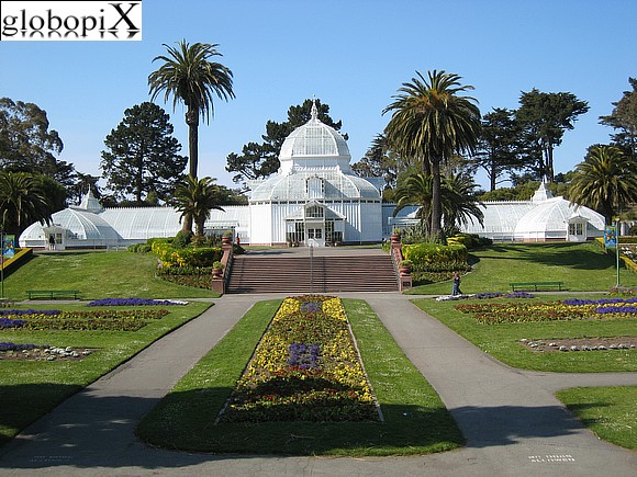 San Francisco - Conservatory of flowers