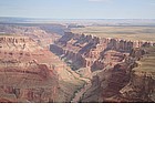 Photo: Colorado reaver - Grand Canyon