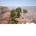 Foto: Grand Canyon