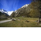 Foto: Sentiero verso il Gran Paradiso