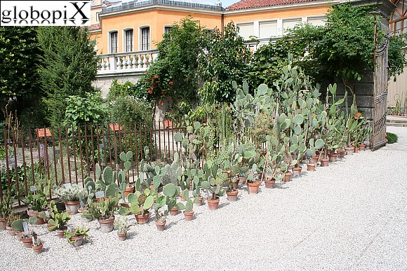 Padova - Orto Botanico