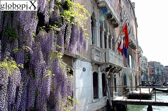 Venice - Palazzo Foscari and Palazzo Michiel