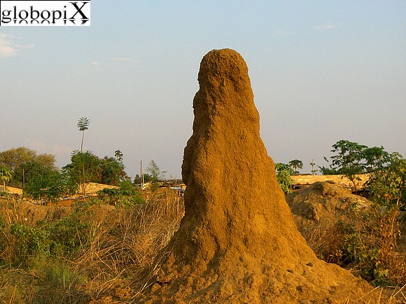 Victoria Falls - Termites nest