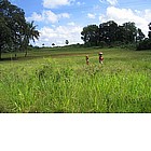 Photo: Zanzibar hinterland