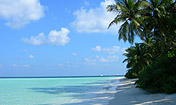 Foto Maldive - Isola di Alimatha
