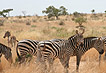 Photo Tsavo east - Kenya
